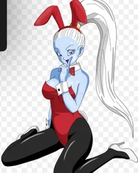 bunny suit vados
