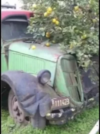 Mercedes 911