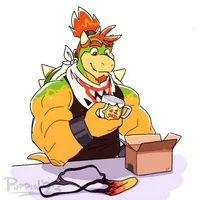 Bowser Jr UPDATED