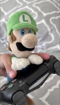 Luigi 