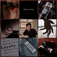 Scott Mccall