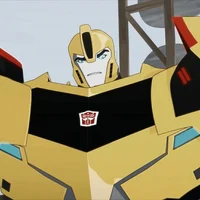 Bumblebee TFRID
