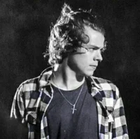 harry styles - uni