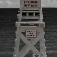 Lifeguard
