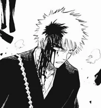 1BL Kurosaki Ichigo