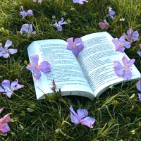 Story-Book Inspo 