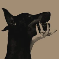 14 - SONS OF ANARCHY