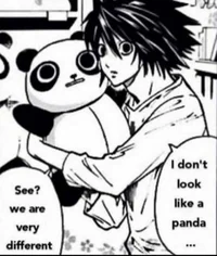 L Lawliet 