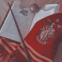 Gryffindor Sleepover