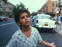 the bronx life
