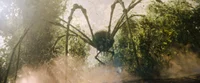 Mother Longlegs
