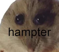 Dry Hamster