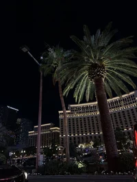 vegas casino