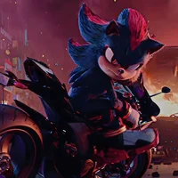 Shadow the Hedgehog 