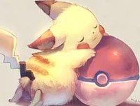 Renna -pokemon owner