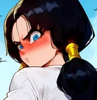 Videl