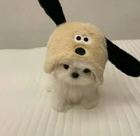 09- -American Psycho