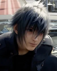 Noctis Lucis Caelum