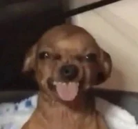 6 - 6 other division