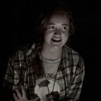 VAN PALMER
