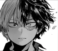 MHA Shoto Todoroki