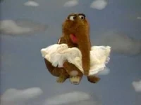 Rat