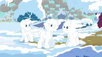 Snow Ponies