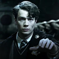 Hp - Tom Riddle 011