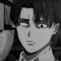 8 LEVI ACKERMAN