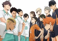 Karasuno vs Seijoh