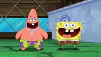 Spongetard