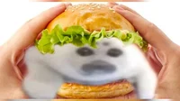 Zollow