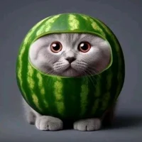 Gato sandia