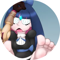 temu stocking