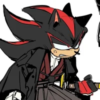 SHADOW T HEDGEHOG 