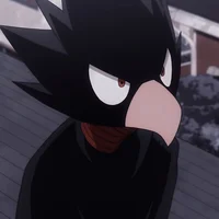 Tokoyami Fumikage