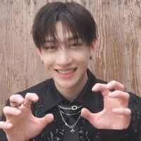 Bangchan stray kids