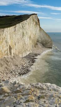 Union force military