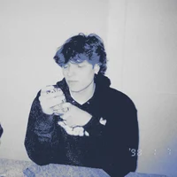 DEALERMATT STURNIOLO