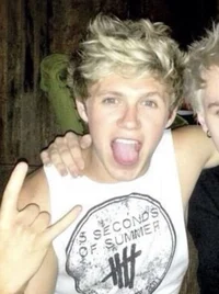 Niall Horan-2013