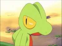 Treecko