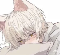 Shy Alleycat