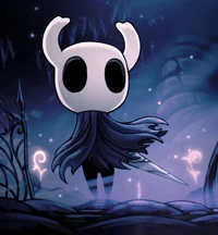 Hollow Knight RPG
