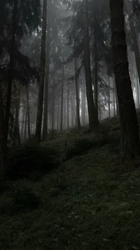 ET-HANSEL AND GRETEL
