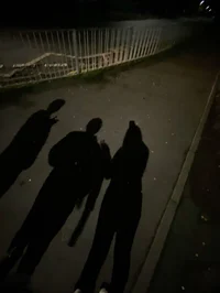 PDH-Romeave brothers