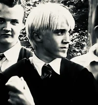 DRACO L MALFOY