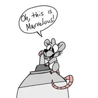 Paddy the rat