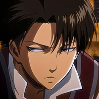 Levi