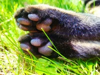 ____________________