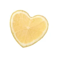 5 - NEW REQUEST FORM